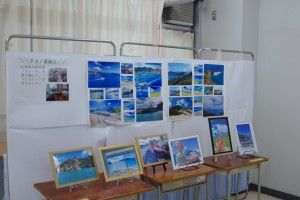 4_小笠原展示 (3).JPG